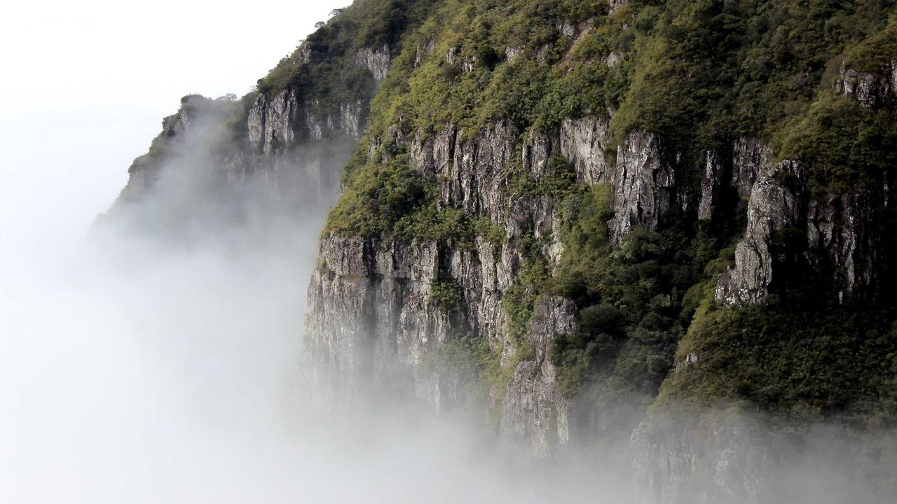 体育服务展示场景
